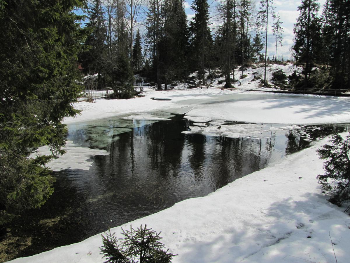 Tatry1_4_2010_021.jpg