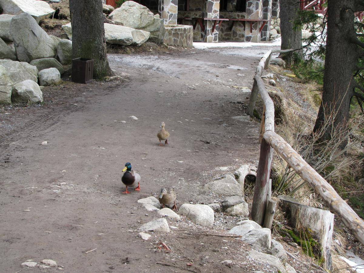 Tatry1_4_2010_026.jpg