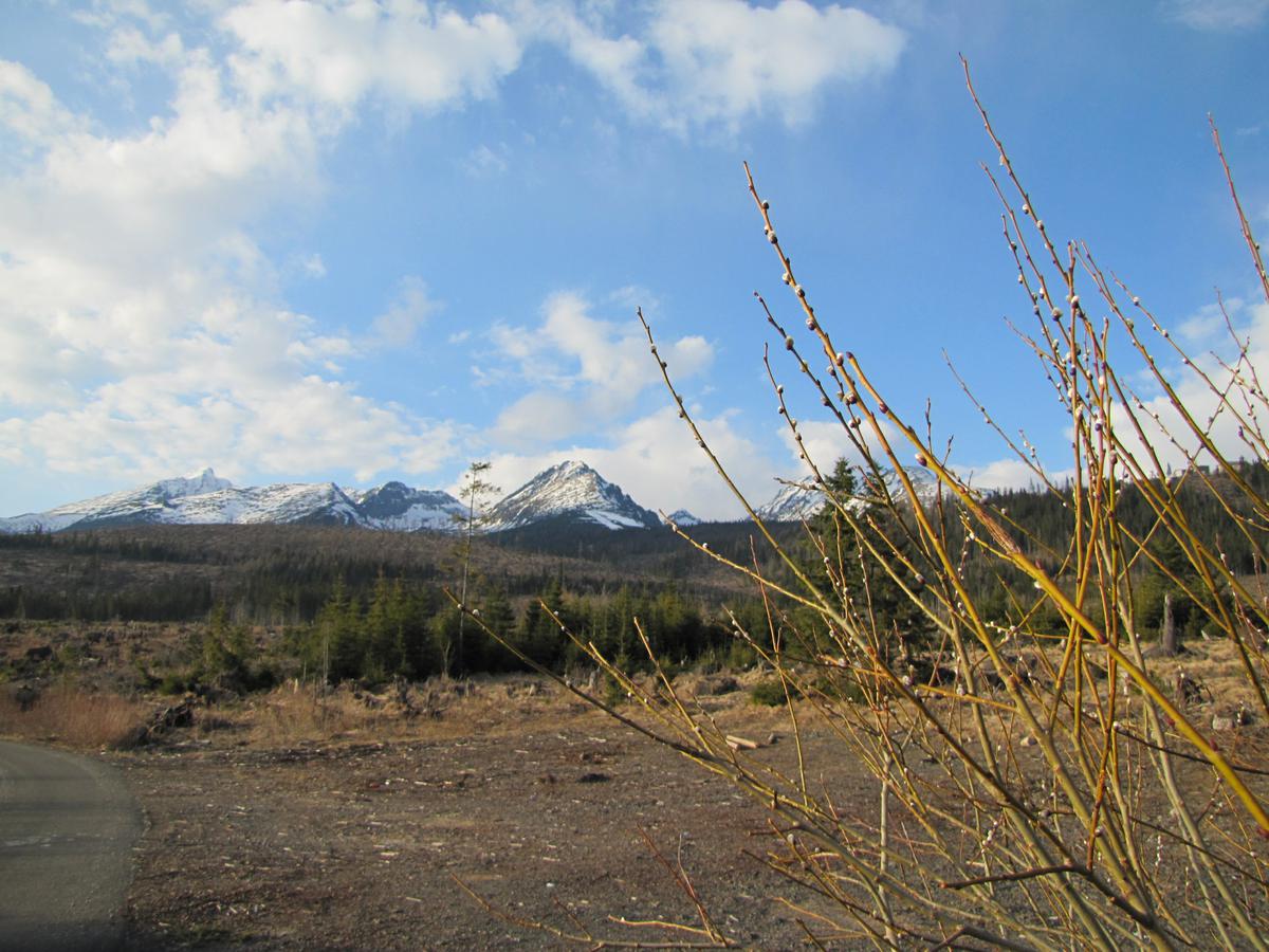 Tatry1_4_2010_036.jpg